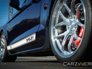 Supersnake 113