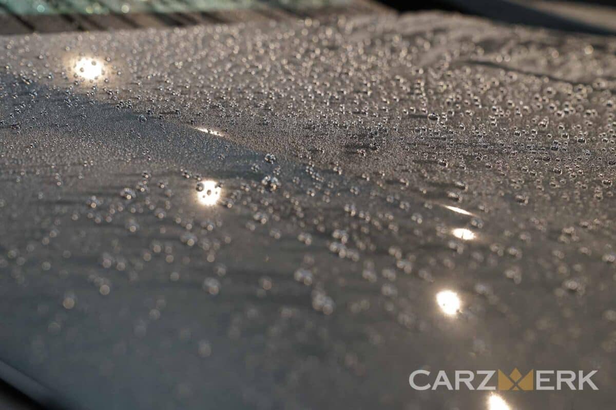 2017 Acura NSX Nord Grey - NC1 - Ceramic Coating Hydrophobic Properties demo