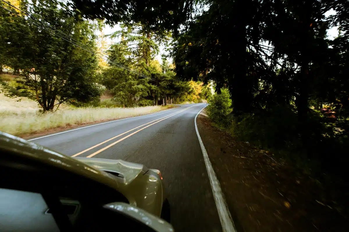 A shot taken from the passenger seat of a car, which is driving down a paved road in a tree covered street.